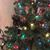 Kimberly Ann Latham's profile image