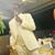 Torey Johnson's profile image