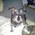 Jacki Bakker's profile image