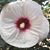 Wendy Willits's profile image