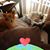 Mary Jo Hall's profile image