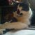 Pam Von Ahrens's profile image