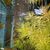 Kathy Ceponis's profile image