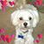 Sandy Timmons Leslie's profile image