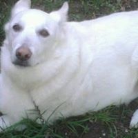 Tete Rene's profile image