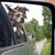Tamatha M Pratt's profile image