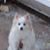 Candi Reed's profile image