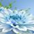 Verdye Posey's profile image