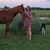Tina Frederick's profile image