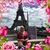 Diane Smallwood's profile image