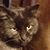 Don Tegt's profile image