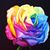 Kat RedEagle's profile image
