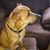 Beverly Peavy's profile image