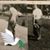 Gary Loder's profile image