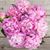 Christine Gaeta Scordato's profile image