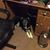 Sandy Raub's profile image
