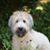 Suzanne Smith's profile image