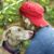 Amie Morgan Baudoin's profile image