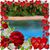 Julie Heideman's profile image