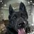 Nancy Marie's profile image