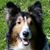 Karen Hart Rosales's profile image