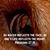 Steve Lomax's profile image