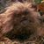 Juvi Gutierrez Flores's profile image