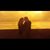 Sharon Goodson White's profile image