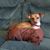 Roxy Porter's profile image