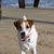 Gisselle Kim Godbout Chaffin's profile image