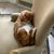 Michelle McFadden-DiNicola's profile image