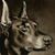 Rhonda Ramseyer Manley's profile image
