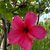 D Maribela Macedo's profile image
