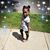 Tawanda Pace's profile image