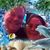 Angela Sinclair's profile image