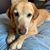 Kelley Lederer's profile image
