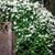 Christine Stigberg DeMento's profile image