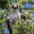 Deb Opsal's profile image
