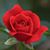 Blanca Chavez's profile image