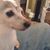 John Otillio's profile image