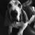 Jannai Madeley's profile image