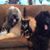 Carol Schick Barnes's profile image