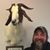 Brian VanDelist's profile image