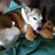 Tricia Bakke's profile image