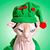 Michael Captain Steele Phillips's profile image