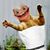 Christine Elizabeth Siegrist's profile image