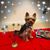 Wendy Starr Baker's profile image