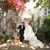 Daniel C Choe's profile image