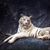 John Craig's profile image