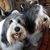 Karen Kaye Adamson's profile image